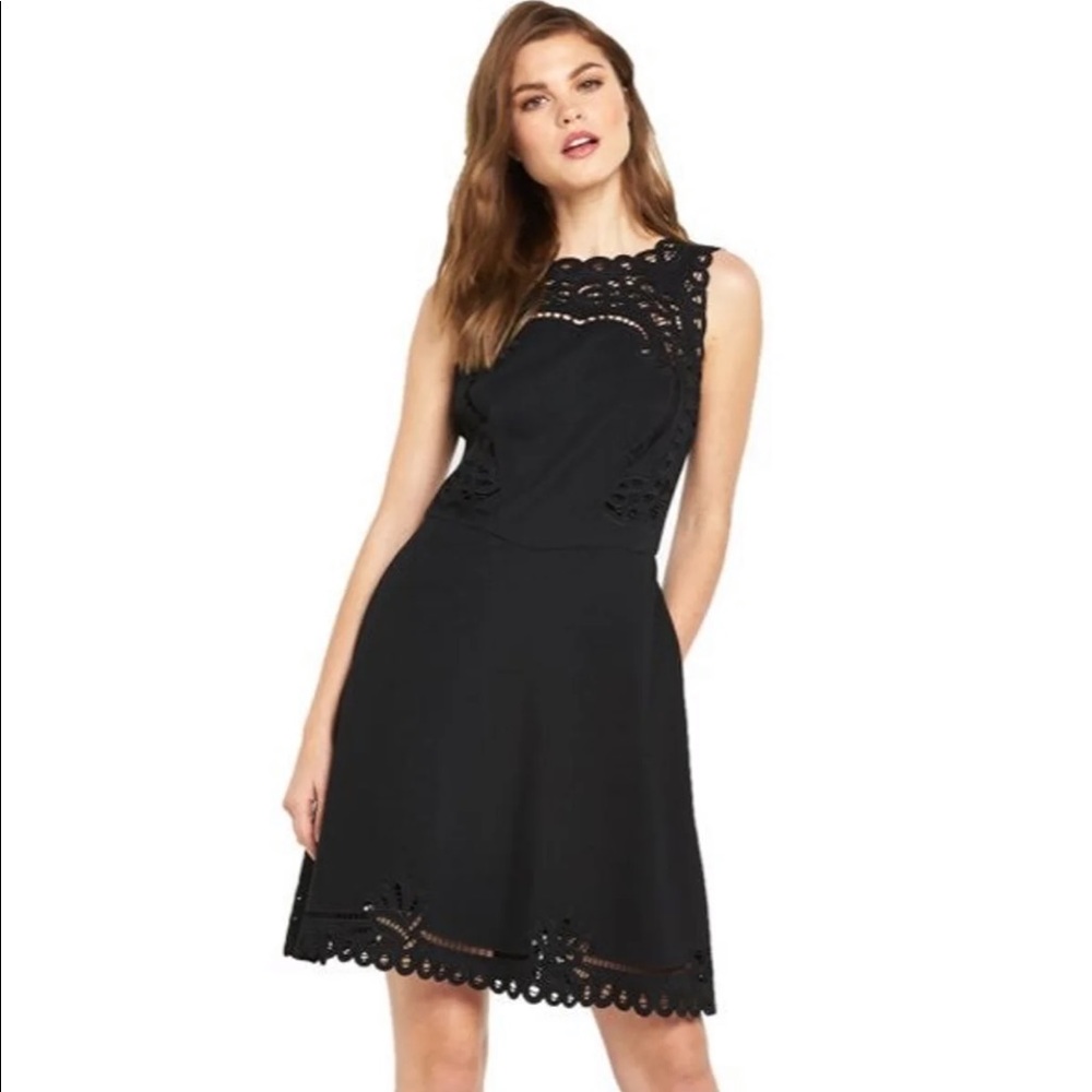 Ted Baker Verona embroided skater dress